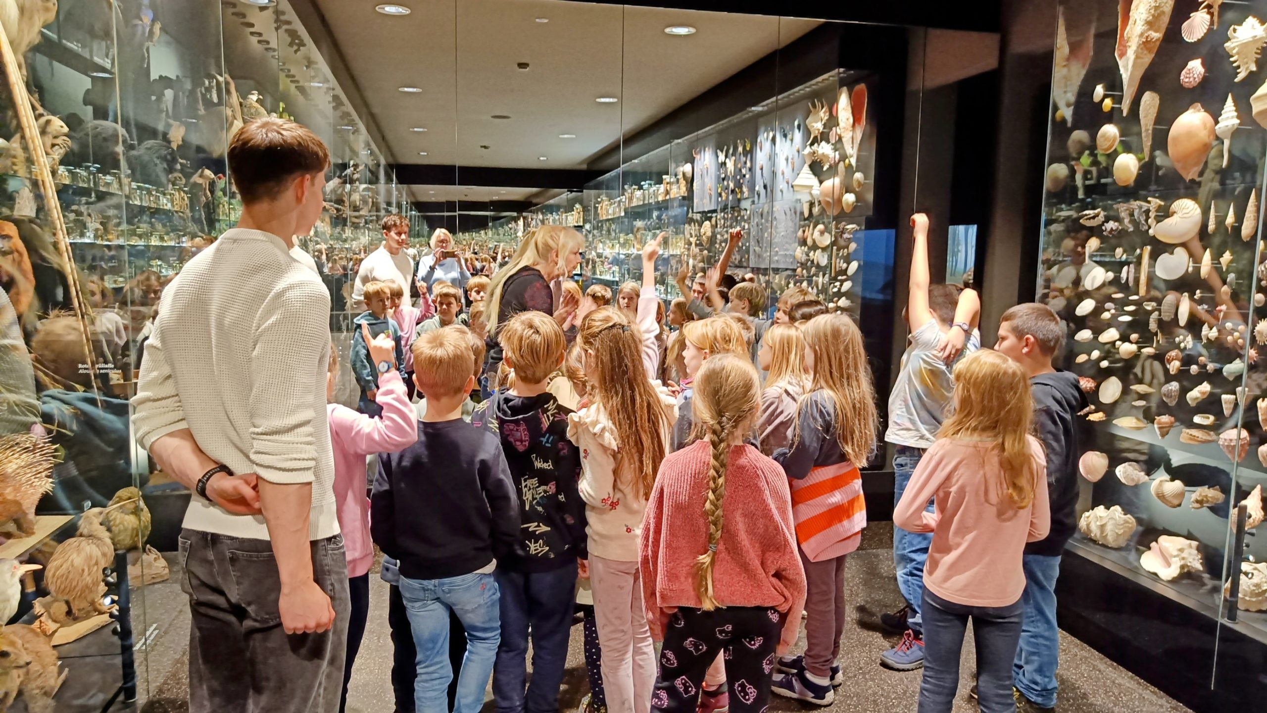 Besuch im Naturhistorischen Museum