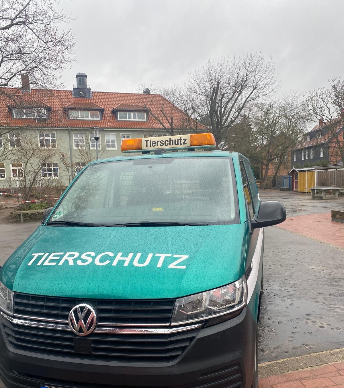 Tierischer Besuch auf dem Schulhof